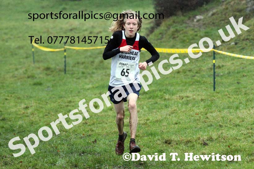 Boys under-15s, NECAA Junior Cross Country Relays, Thornley Farm, Peterlee, Saturday, December 12th. Photo: David T. Hewitson/Sports for All Pics